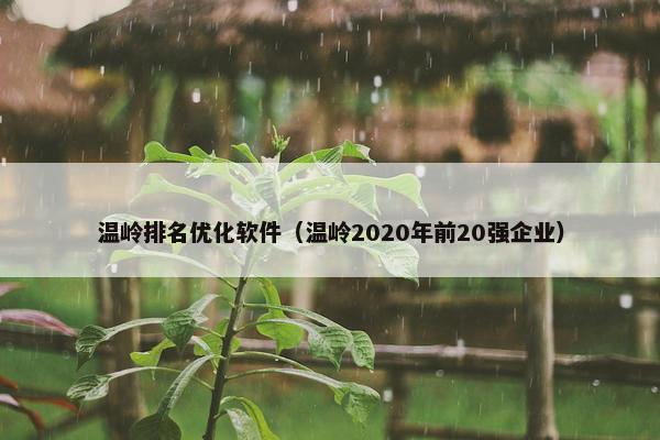温岭排名优化软件（温岭2020年前20强企业）