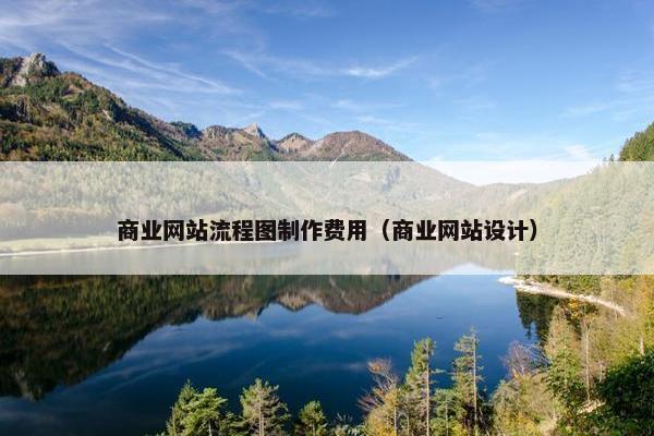 商业网站流程图制作费用（商业网站设计）