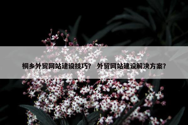 桐乡外贸网站建设技巧？ 外贸网站建设解决方案？