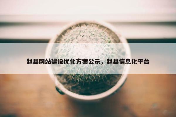 赵县网站建设优化方案公示，赵县信息化平台