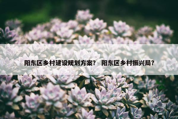阳东区乡村建设规划方案？ 阳东区乡村振兴局？