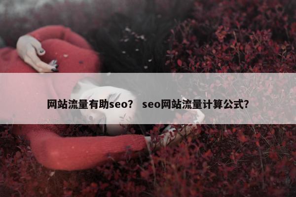 网站流量有助seo？ seo网站流量计算公式？
