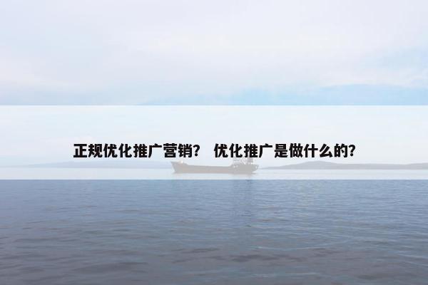 正规优化推广营销？ 优化推广是做什么的？