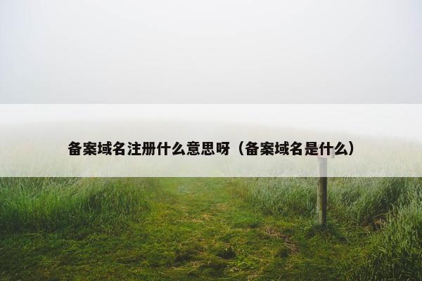 备案域名注册什么意思呀（备案域名是什么）