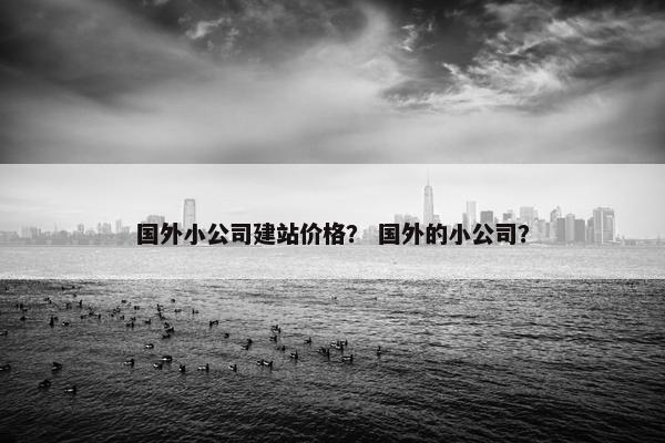 国外小公司建站价格？ 国外的小公司？