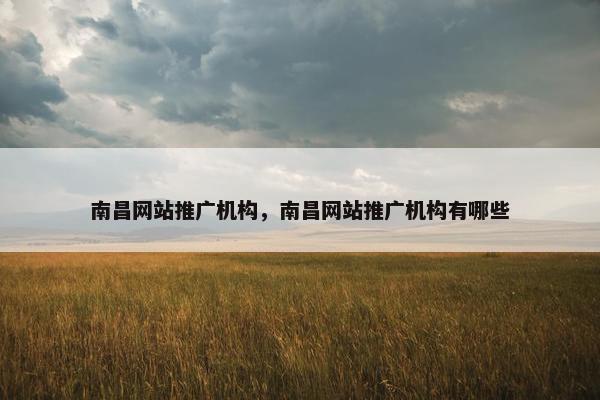 南昌网站推广机构，南昌网站推广机构有哪些