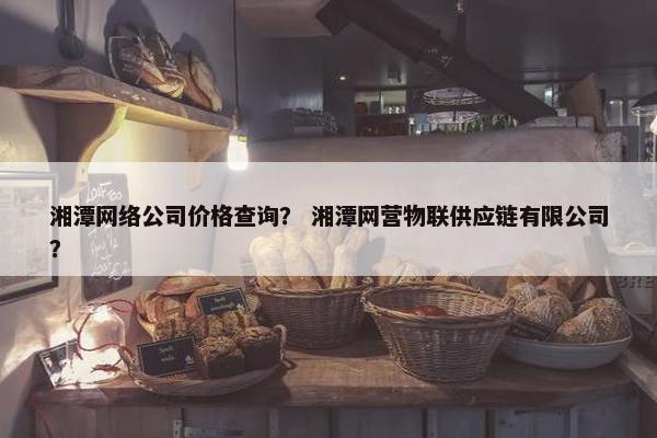 湘潭网络公司价格查询？ 湘潭网营物联供应链有限公司？