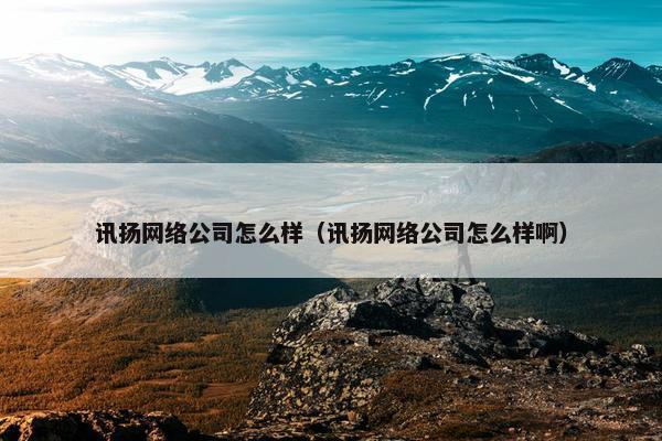 讯扬网络公司怎么样（讯扬网络公司怎么样啊）