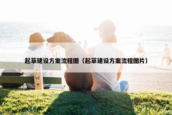 起草建设方案流程图（起草建设方案流程图片）