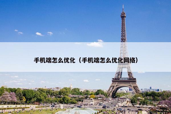 手机端怎么优化（手机端怎么优化网络）