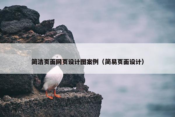 简洁页面网页设计图案例（简易页面设计）
