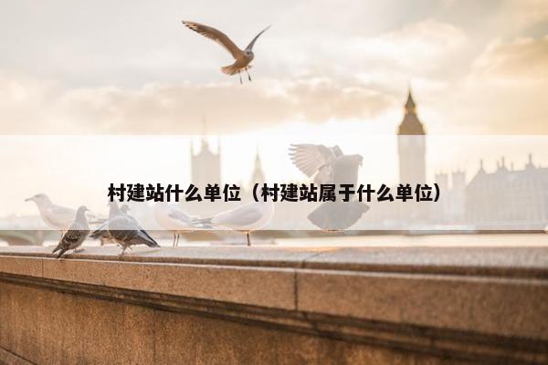 村建站什么单位（村建站属于什么单位）