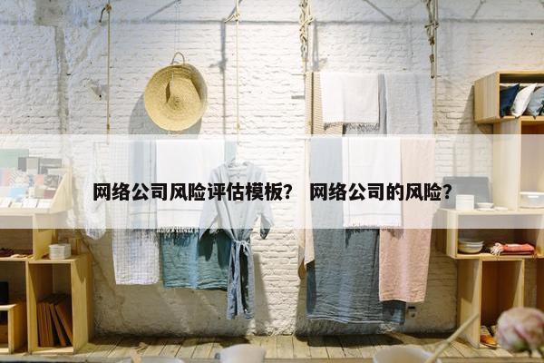 网络公司风险评估模板？ 网络公司的风险？