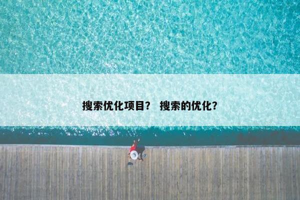 搜索优化项目？ 搜索的优化？