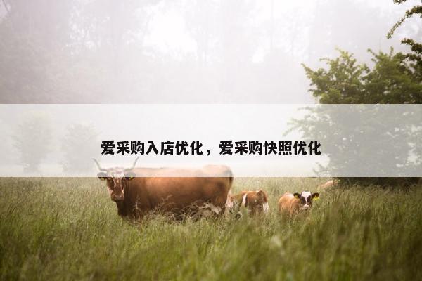 爱采购入店优化，爱采购快照优化