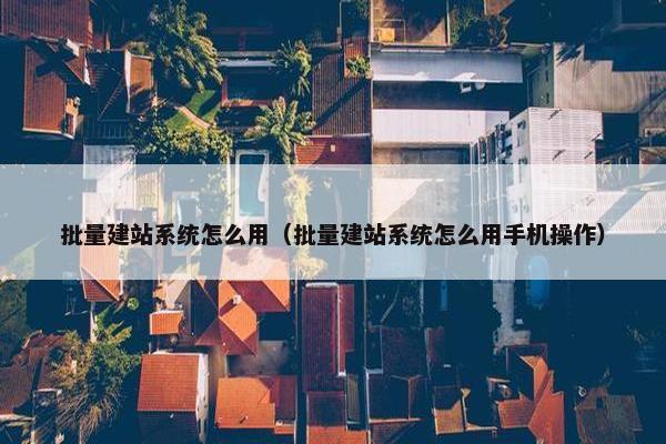 批量建站系统怎么用（批量建站系统怎么用手机操作）