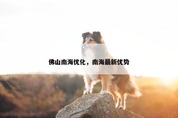 佛山南海优化，南海最新优势