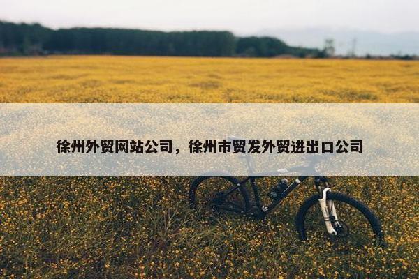 徐州外贸网站公司，徐州市贸发外贸进出口公司