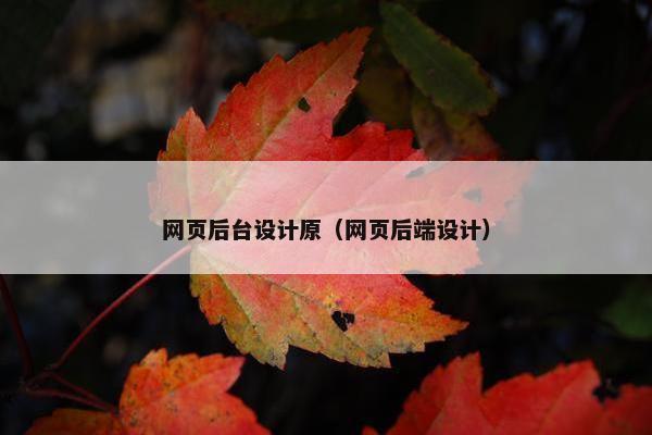网页后台设计原（网页后端设计）