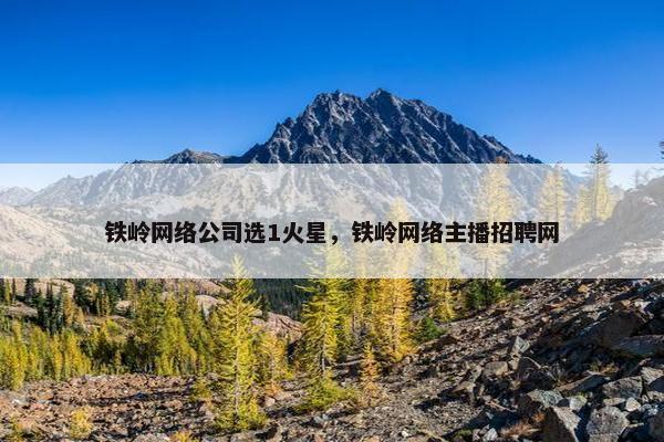 铁岭网络公司选1火星，铁岭网络主播招聘网