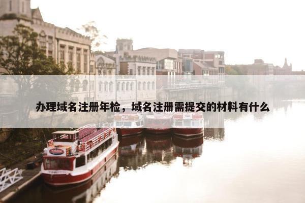 办理域名注册年检，域名注册需提交的材料有什么