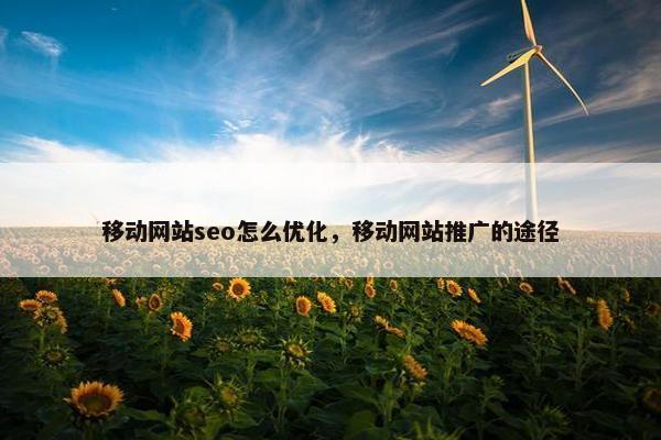 移动网站seo怎么优化，移动网站推广的途径
