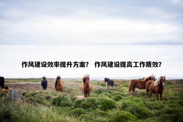 作风建设效率提升方案？ 作风建设提高工作质效？