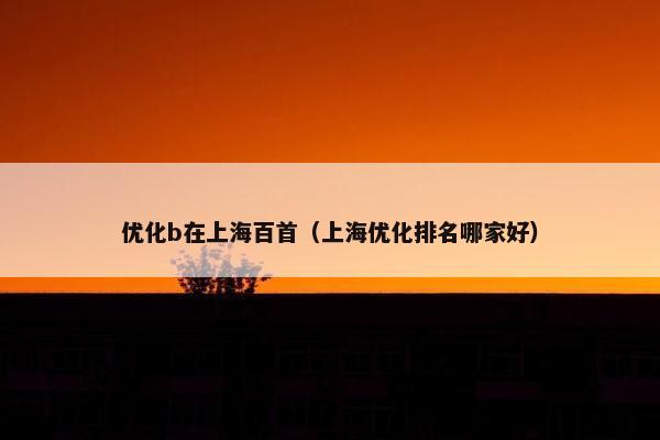 优化b在上海百首（上海优化排名哪家好）