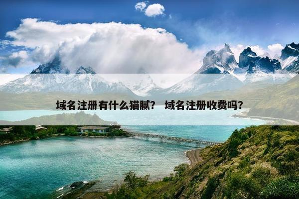 域名注册有什么猫腻？ 域名注册收费吗？