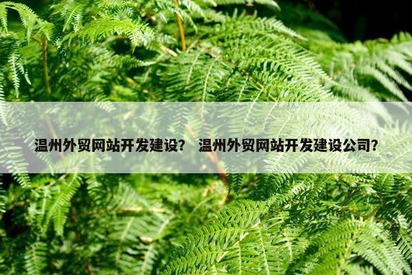 温州外贸网站开发建设？ 温州外贸网站开发建设公司？