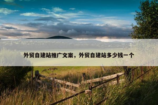 外贸自建站推广文案，外贸自建站多少钱一个