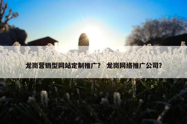 龙岗营销型网站定制推广？ 龙岗网络推广公司？