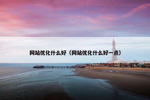 网站优化什么好（网站优化什么好一点）