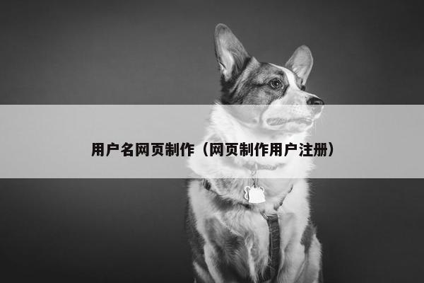 用户名网页制作（网页制作用户注册）