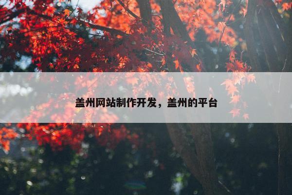 盖州网站制作开发，盖州的平台