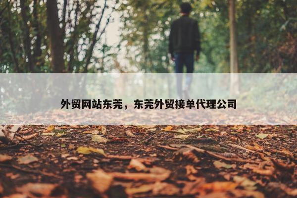 外贸网站东莞，东莞外贸接单代理公司