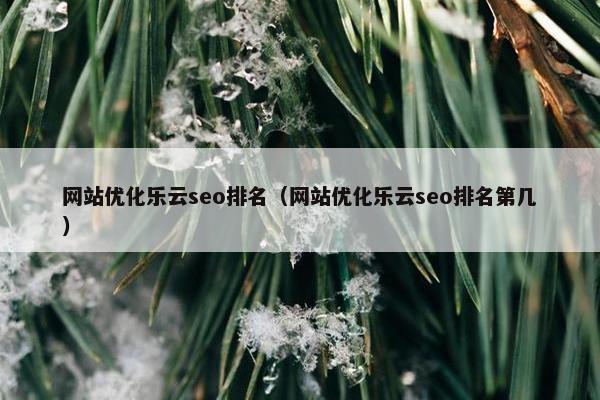 网站优化乐云seo排名（网站优化乐云seo排名第几）