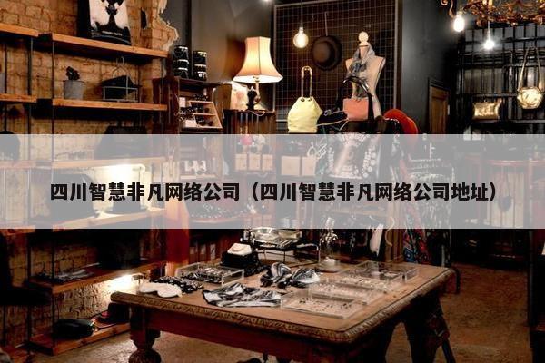 四川智慧非凡网络公司（四川智慧非凡网络公司地址）