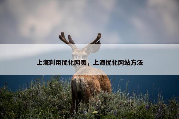 上海利用优化网页，上海优化网站方法