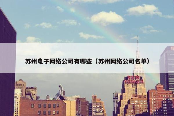 苏州电子网络公司有哪些（苏州网络公司名单）