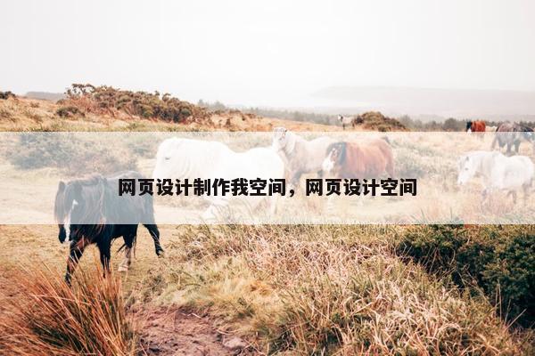 网页设计制作我空间，网页设计空间