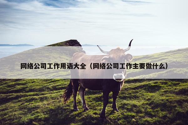 网络公司工作用语大全（网络公司工作主要做什么）