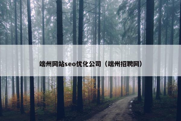 端州网站seo优化公司（端州招聘网）