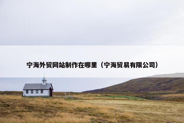 宁海外贸网站制作在哪里（宁海贸易有限公司）