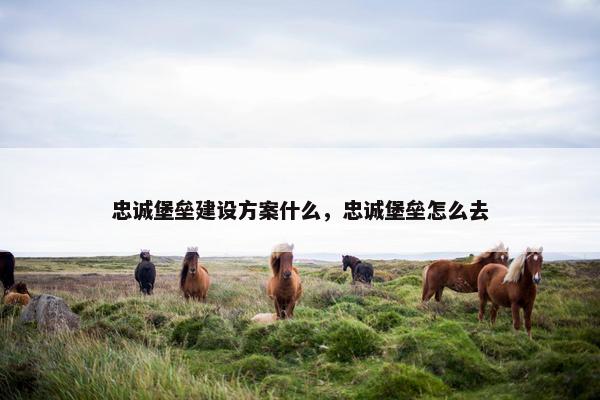 忠诚堡垒建设方案什么，忠诚堡垒怎么去