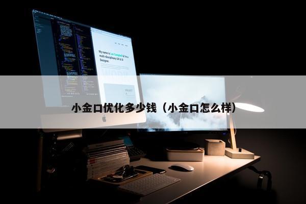 小金口优化多少钱（小金口怎么样）