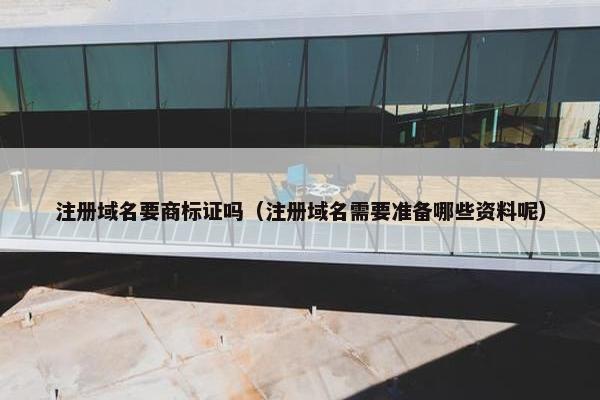 注册域名要商标证吗（注册域名需要准备哪些资料呢）