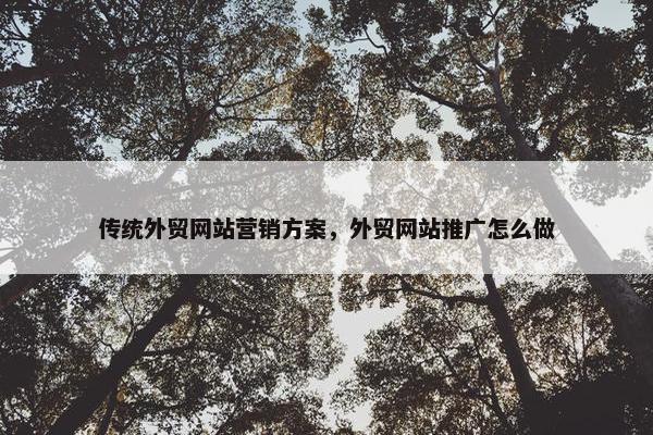 传统外贸网站营销方案，外贸网站推广怎么做