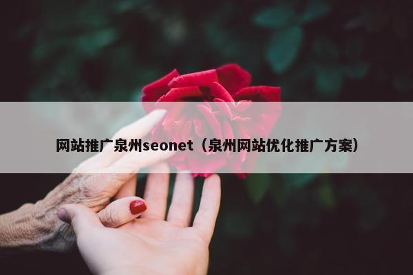 网站推广泉州seonet（泉州网站优化推广方案）