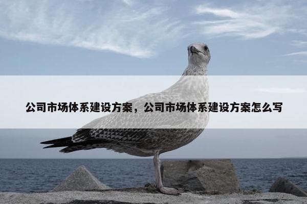 公司市场体系建设方案，公司市场体系建设方案怎么写